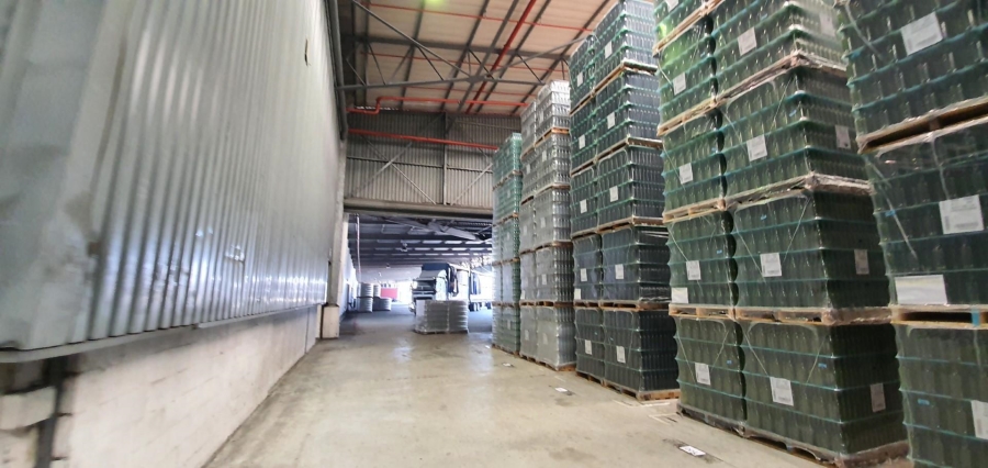 To Let commercial Property for Rent in Parow Industrial Western Cape